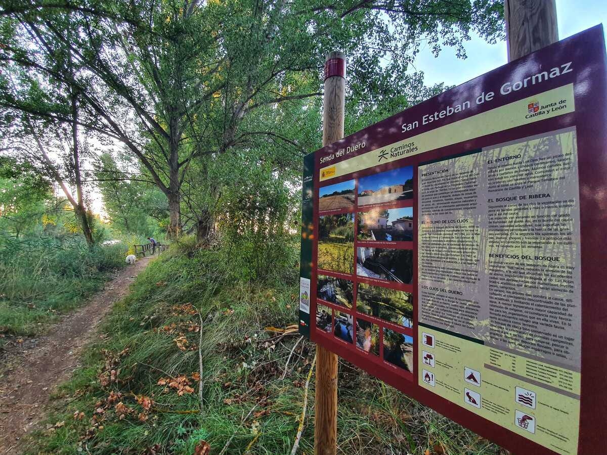 El MAPA impulsa la Senda del Duero entre San Esteban y Langa