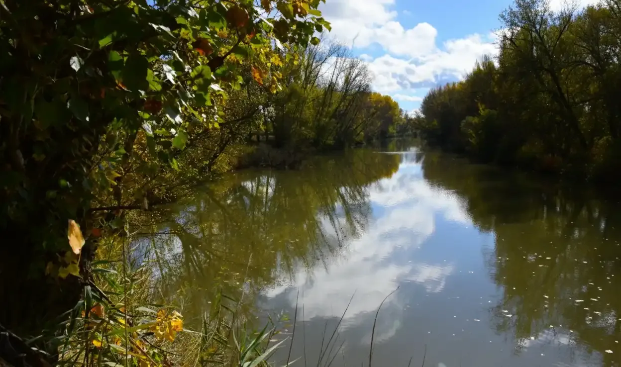 Naturaleza junto al Duero